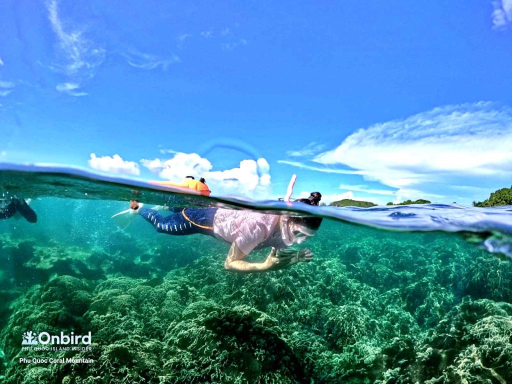 Private Snorkeling Trip To Half Moon Reef Coral Mountain In Phu Quoc