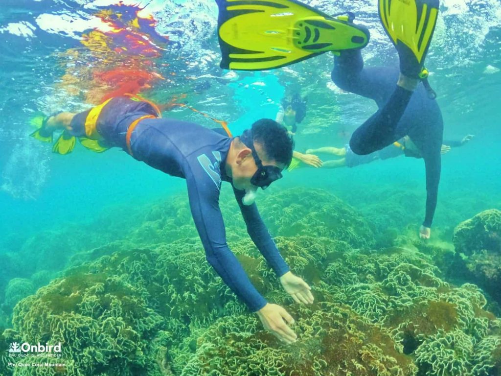 SMALL GROUP SOFT ADVENTURE SNORKELING To Explore Hidden Coral Spots