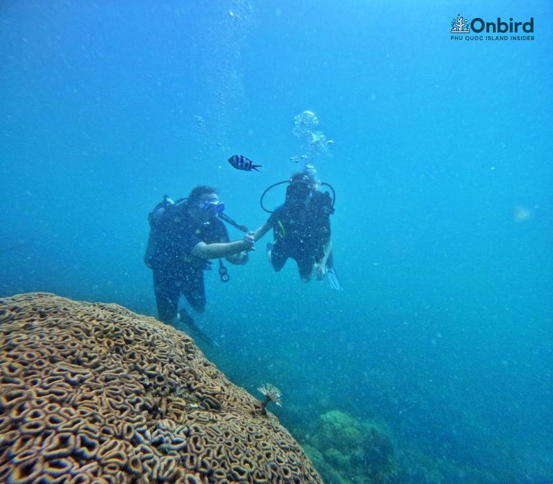 Join In Group Scuba Diving Onbird Phu Quoc Soft Adventure Journeys