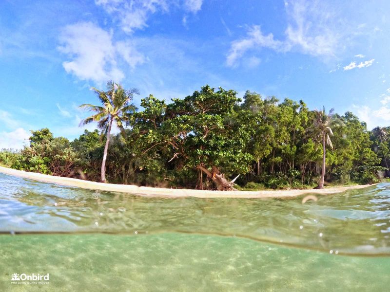 Dcim100goprogopr3743.jpg
