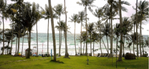 Bãi Trào với thảm cỏ xanh mướt và rặng dừa lộng gió… (Sưu tầm)