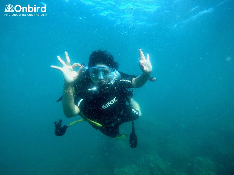 Scuba diving in Phu Quoc Island to explore U-Turn and Half-moon coral reef