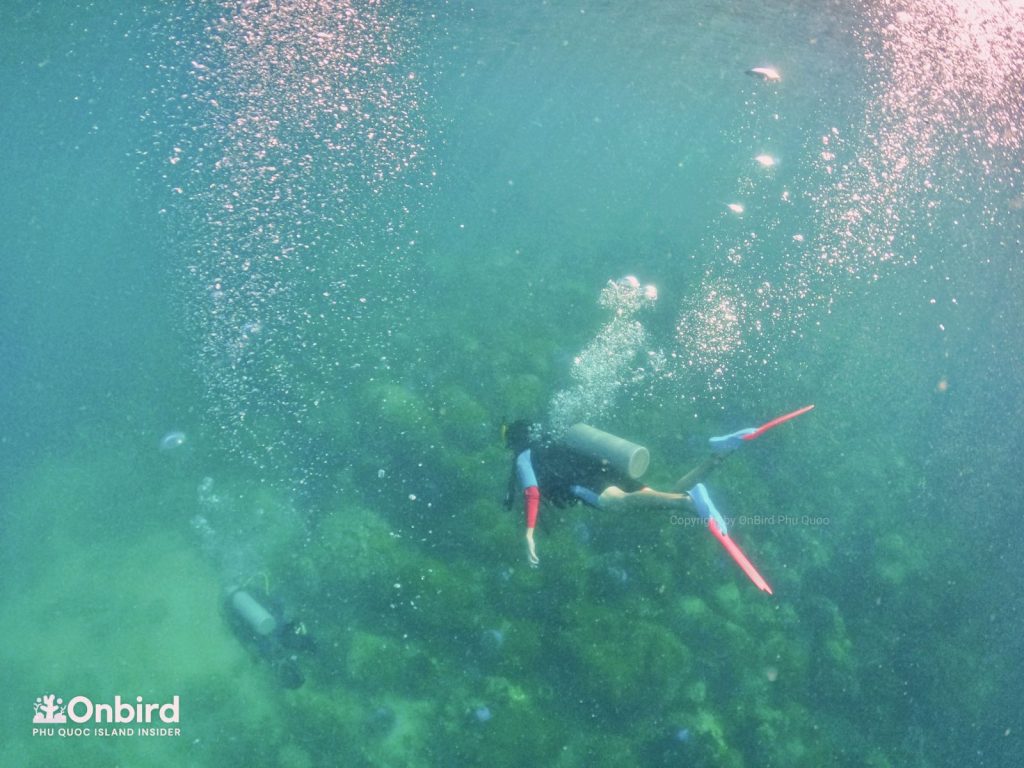 Private-scuba-diving-trip-to-explore-Phu-Quoc-coral-reefs-by-speedboat-