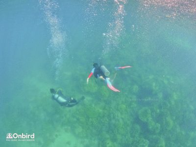 Private-scuba-diving-trip-to-explore-Phu-Quoc-coral-reefs-by-speedboat-