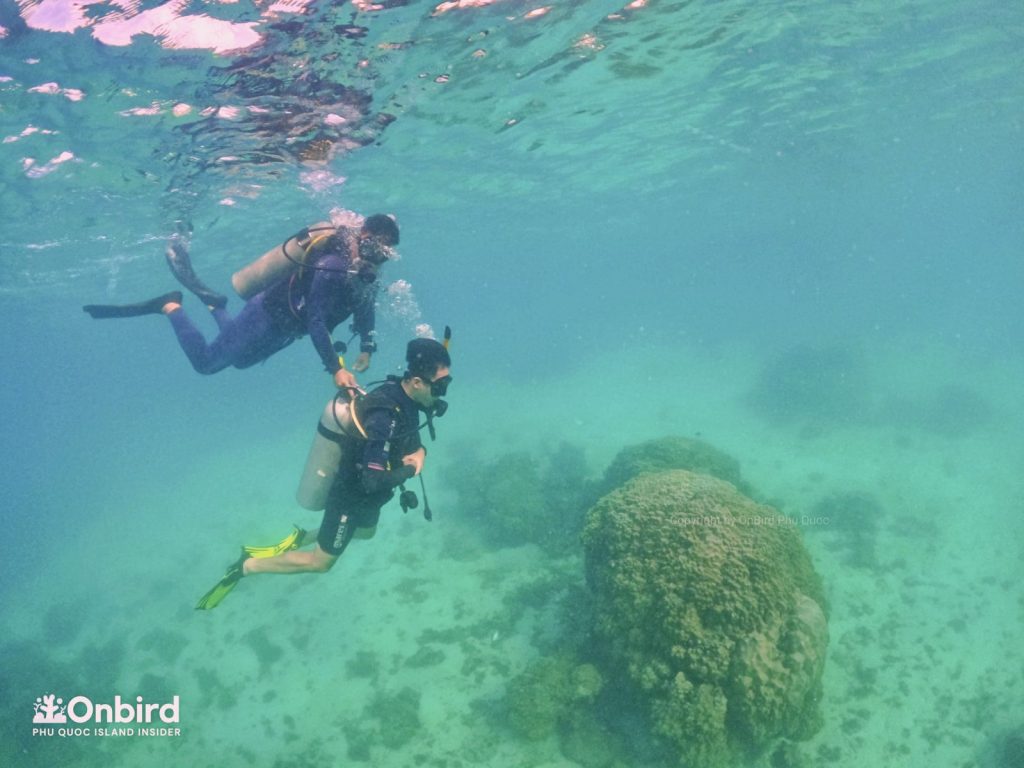 Private-scuba-diving-trip-to-explore-Phu-Quoc-coral-reefs-by-speedboat-