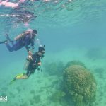 Private-scuba-diving-trip-to-explore-Phu-Quoc-coral-reefs-by-speedboat-