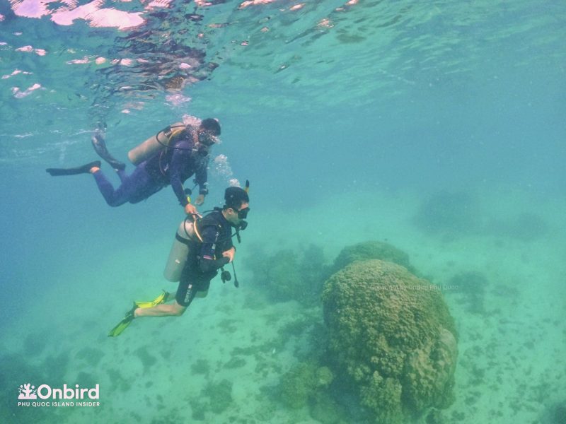 Private-scuba-diving-trip-to-explore-Phu-Quoc-coral-reefs-by-speedboat-