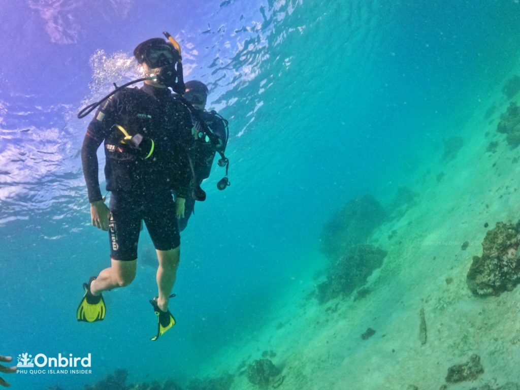 Private-scuba-diving-trip-to-explore-Phu-Quoc-coral-reefs-by-speedboat-