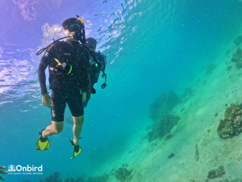 Private-scuba-diving-trip-to-explore-Phu-Quoc-coral-reefs-by-speedboat-