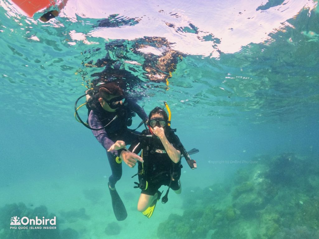 Private-scuba-diving-trip-to-explore-Phu-Quoc-coral-reefs-by-speedboat-