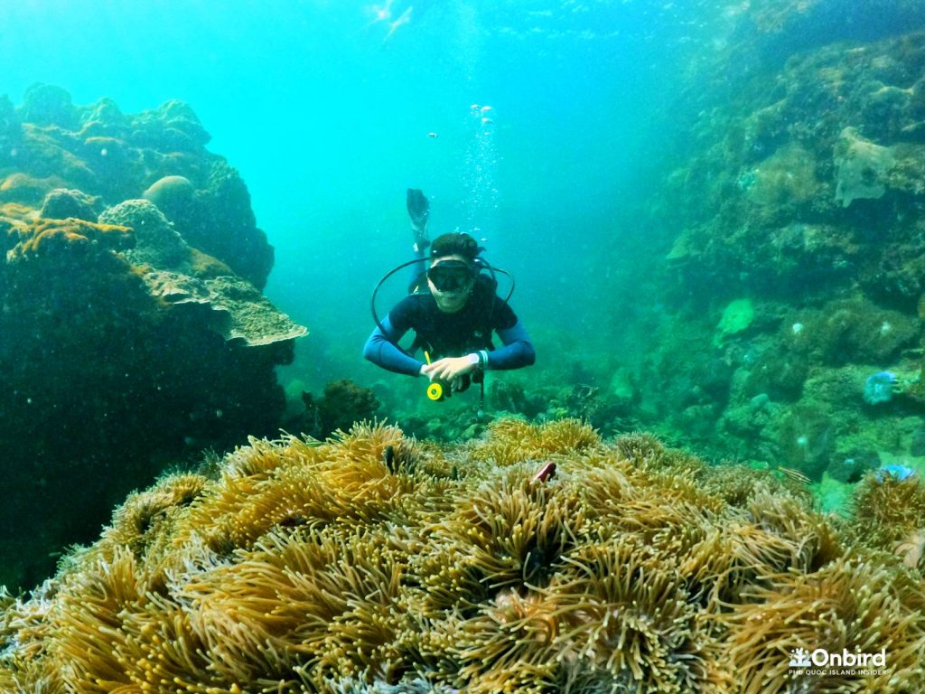 Private scuba diving trip by speedboat in Phu Quoc Island, Vietnam