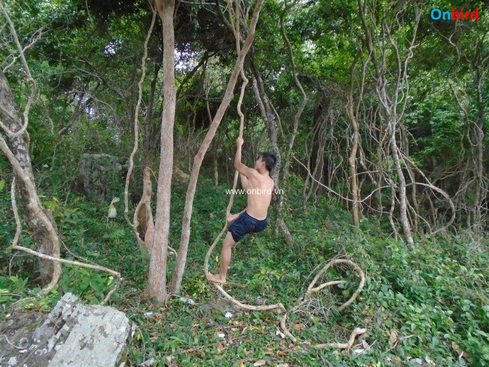 Northern Long Beach (bai Dai) Phu Quoc 14