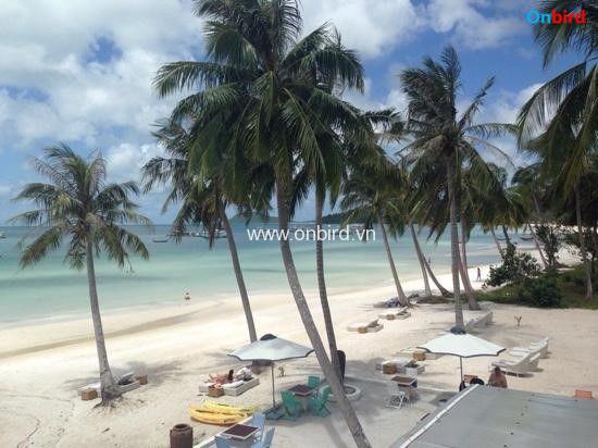 Sao Beach (southern Starfish Beach) Phu Quoc 9