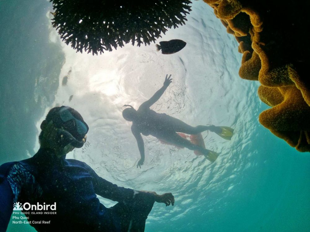 PRIVATE SNORKELING TRIP TO HALFMOON REEF & CORAL MOUNTAIN IN PHU QUOC