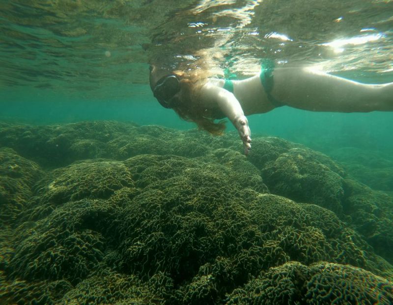 Phu Quoc Coral Mountain at Crystal Reef - Phu Quoc Distinct Snorkeling Trip