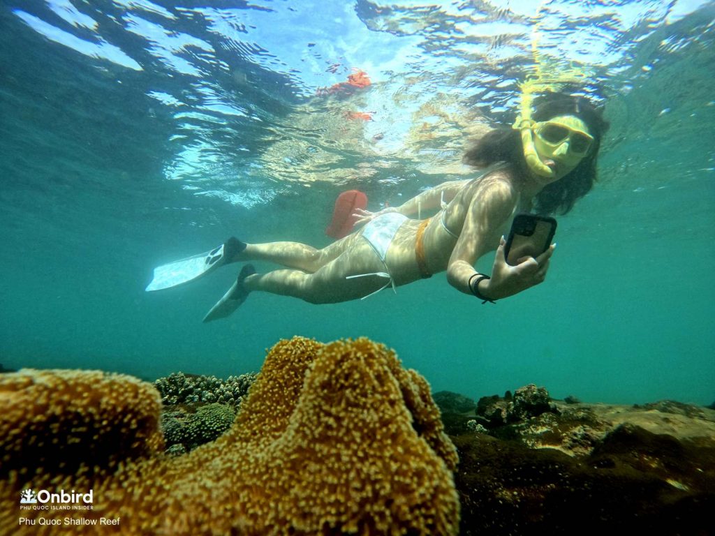 Snorkeling in the Shallow Reef, Phu Quoc Island, Vietnam