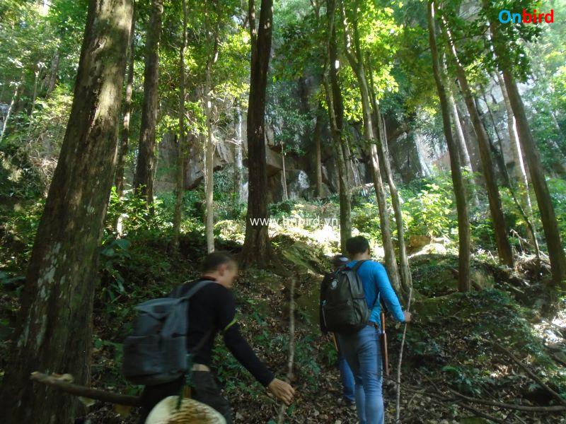 Phu Quoc Trekking