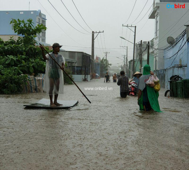 Dao Ngoc Phu Quoc Thanh Dao Ngap Nguoi Dan Chi Ro Ly Do Tai Sao Bb Baaadluxpv