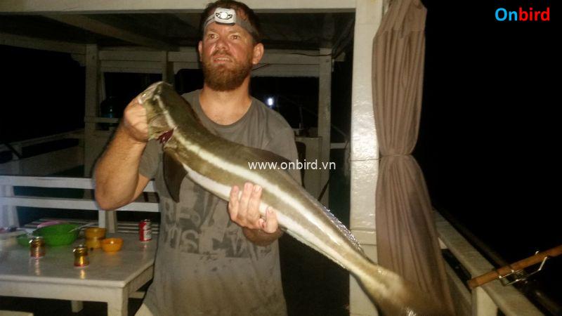 Phu Quoc Deep sea fishing - Phu Quoc amazing things to do - Phu Quoc Rods and Reels Deep Sea Fishing Charter