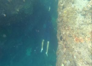 Explore Phu Quoc Coral Strait Gorge in amazing Phu Quoc Trip
