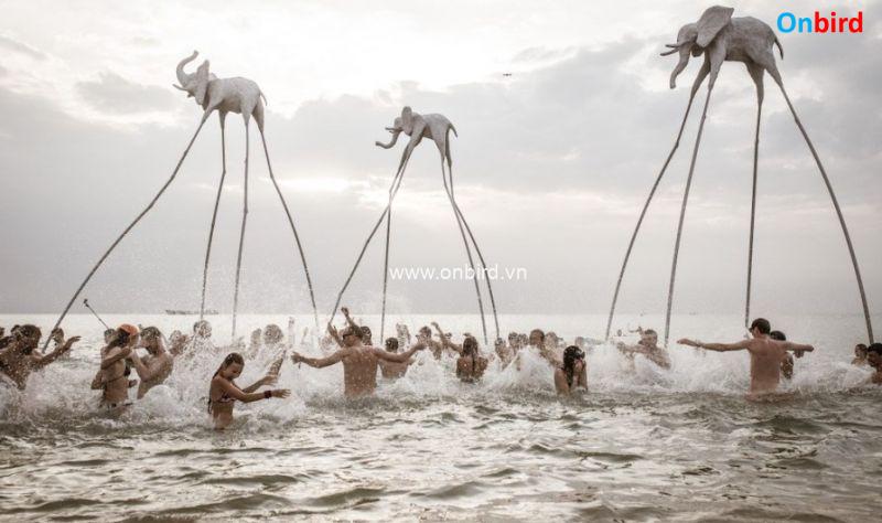Phu Quoc International Musical Festival Epizode