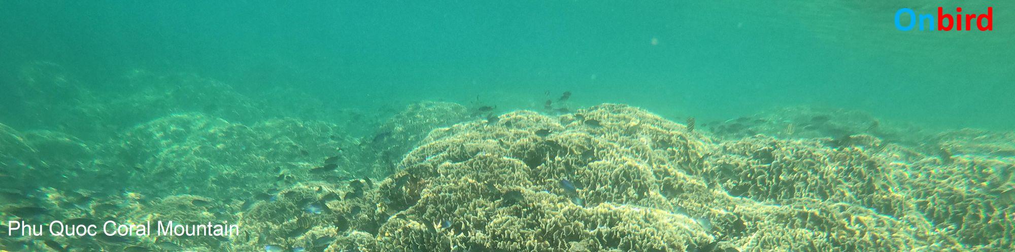 Phu Quoc Coral Mountain