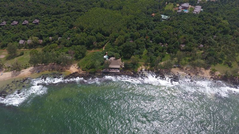 Aerial Shot Of Mango