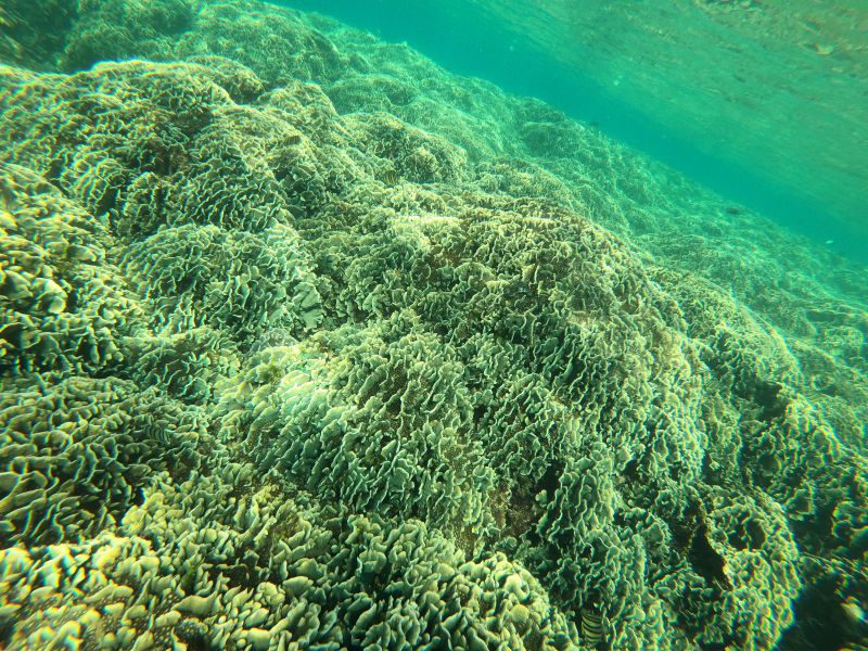 Phu Quoc snorkeling - Stunning scenery of Coral Mountain