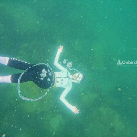 Dcim110goprogopr8135.jpg