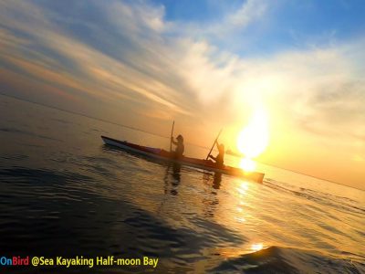 [Private] Sea Kayaking Along The Northwest Coastline, Sunset Drifting ...