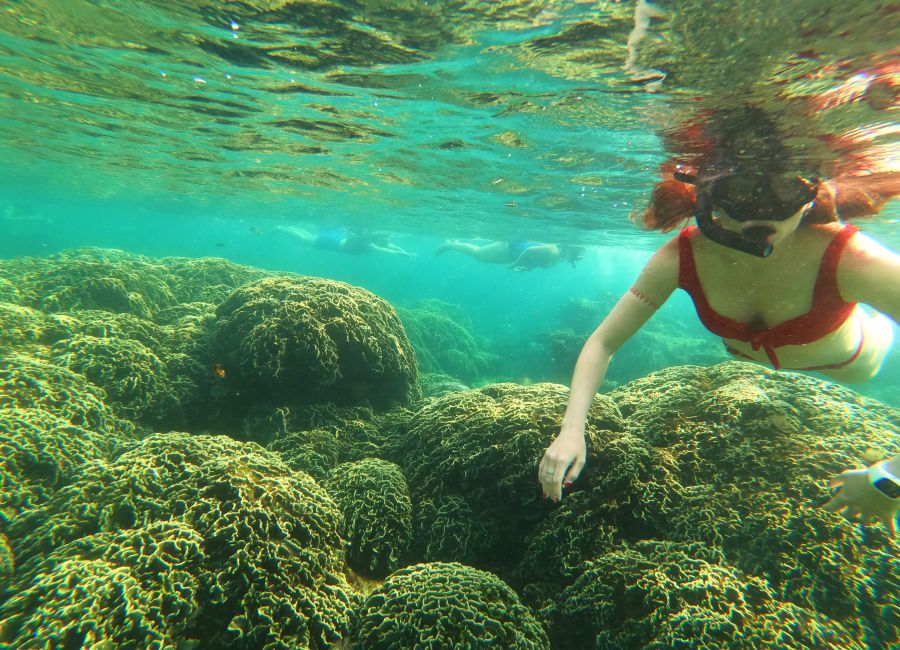 Phu Quoc Coral Mountain at Crystal Reef - Phu Quoc Distinct Snorkeling Trip