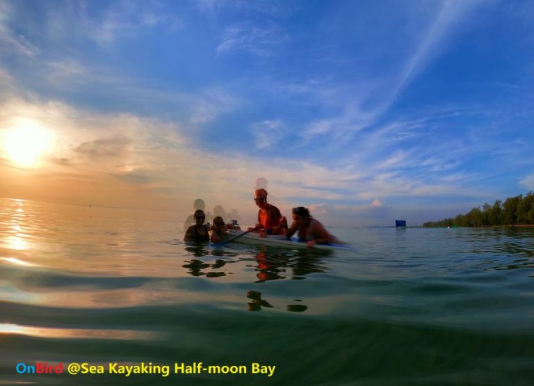 [Private] Sea Kayaking Along The Northwest Coastline, Sunset Drifting ...