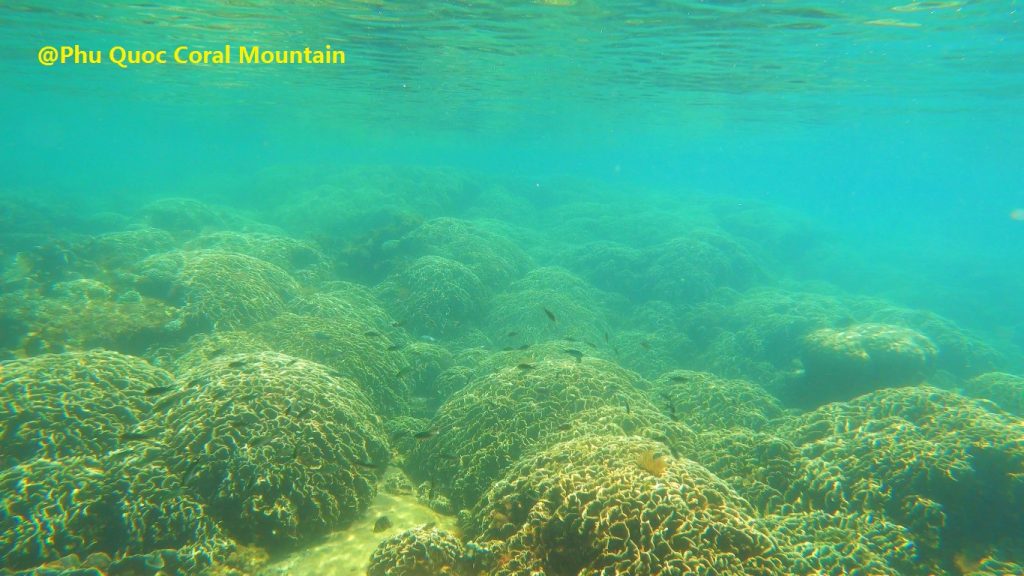 Phu Quoc Coral Mountain on approaching - Phu Quoc Tailor-made snorkeling trip