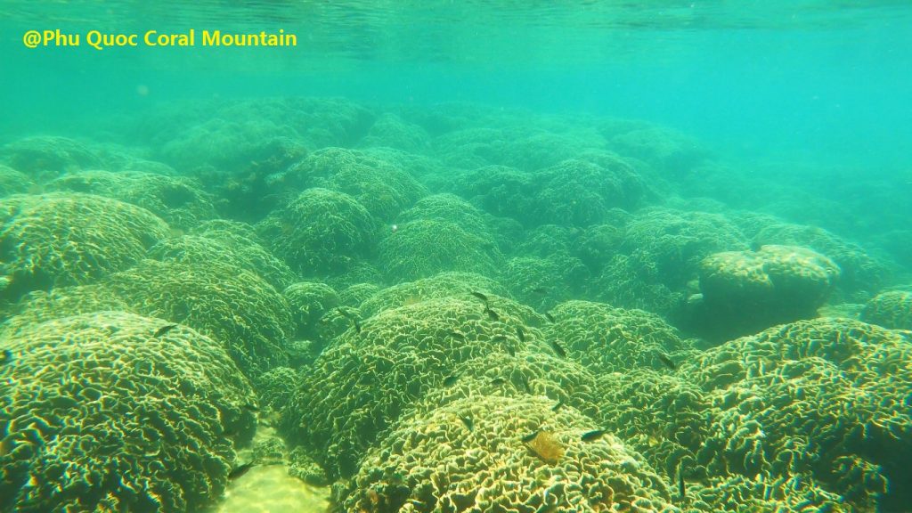 Phu Quoc Coral Mountain on approaching - Phu Quoc Tailor-made snorkeling trip