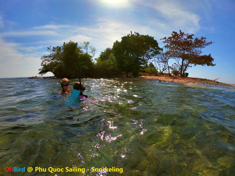 Explore Turtle Island in Phu Quoc Sailing Trip - Phu Quoc things to do