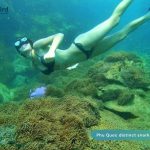 Snorkeling to see anemone in Phu Quoc Island, Vietnam