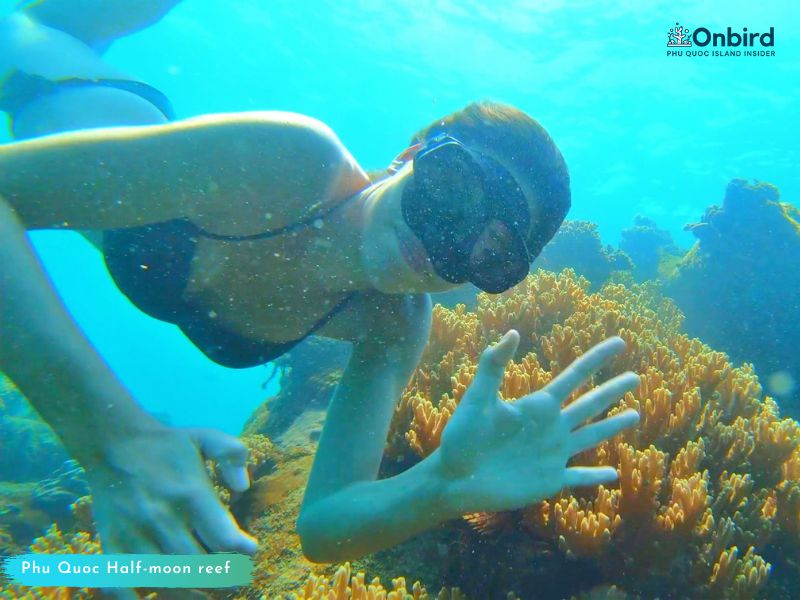 Phu Quoc touristy-avoiding snorkeling tour to explore Half-moon Reef 