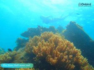 Phu Quoc touristy-avoiding snorkeling tour to explore Half-moon Reef