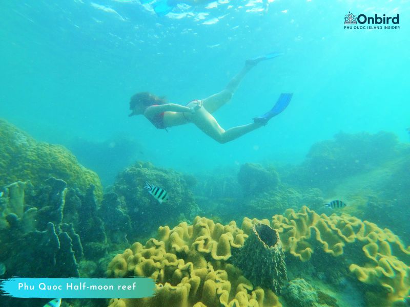 Phu Quoc Snorekling Tour to explore South Phu Quoc water 