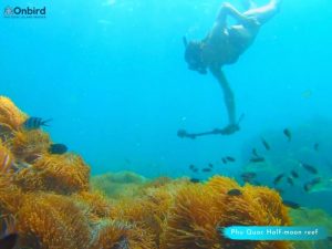 Phu Quoc touristy-avoiding snorkeling tour to explore Half-moon Reef