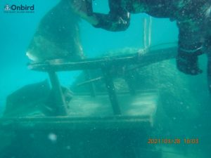 Boat wreck At Crystal Reef, Phu Quoc Snorkeling tour