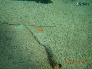 Boat wreck At Crystal Reef, Phu Quoc Snorkeling tour