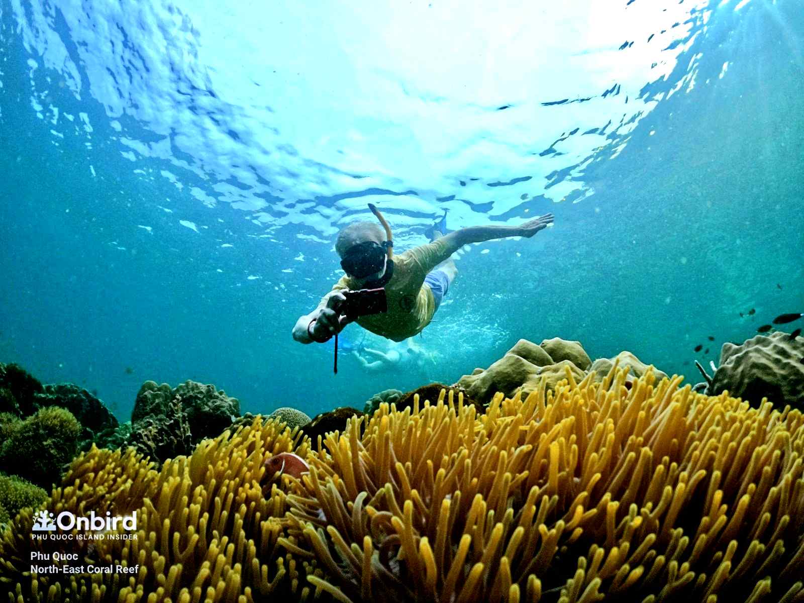 スピードボートでフーコックの半月サンゴ礁 (Half-moon Reef) とサンゴ