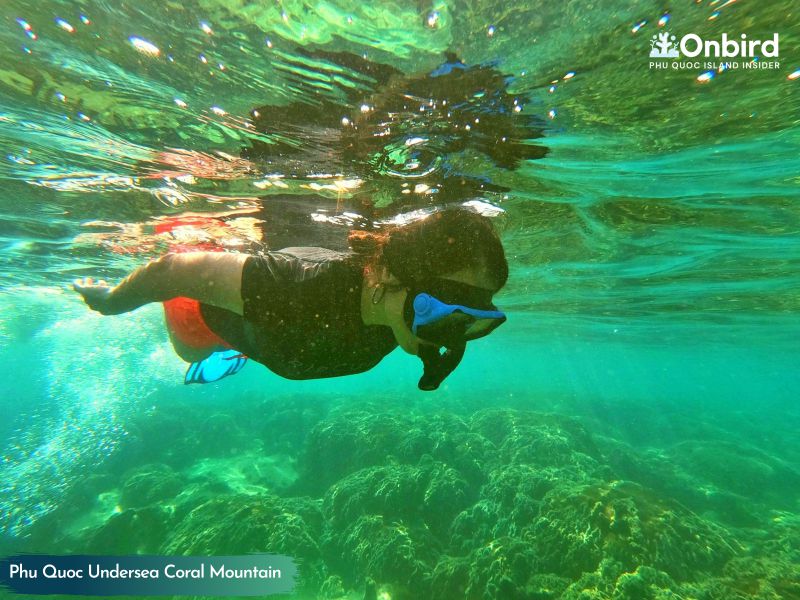 Enjoy the jade water at Crystal Reef to explore Phu Quoc Coral Mountain 