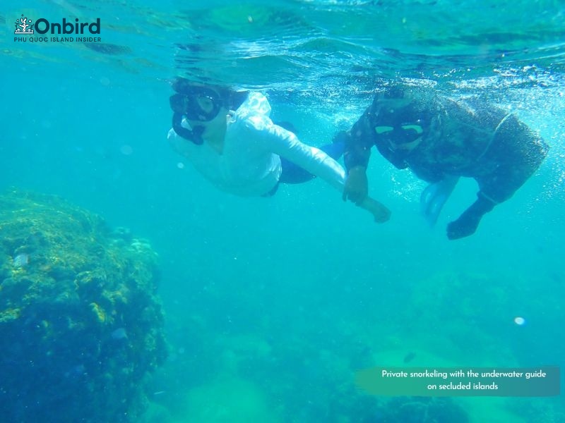 Enjoy amazing snorkeling at Phu Quoc Half-moon Reef - Phu Quoc Snorkeling