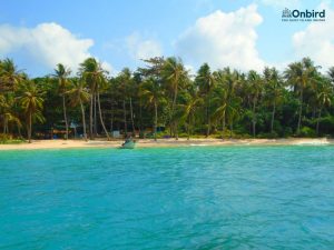 Phu Quoc May Rut Island - Enjoying sparkling water at Phu Quoc Crystal Reef - Phu Quoc early morning snorkeling
