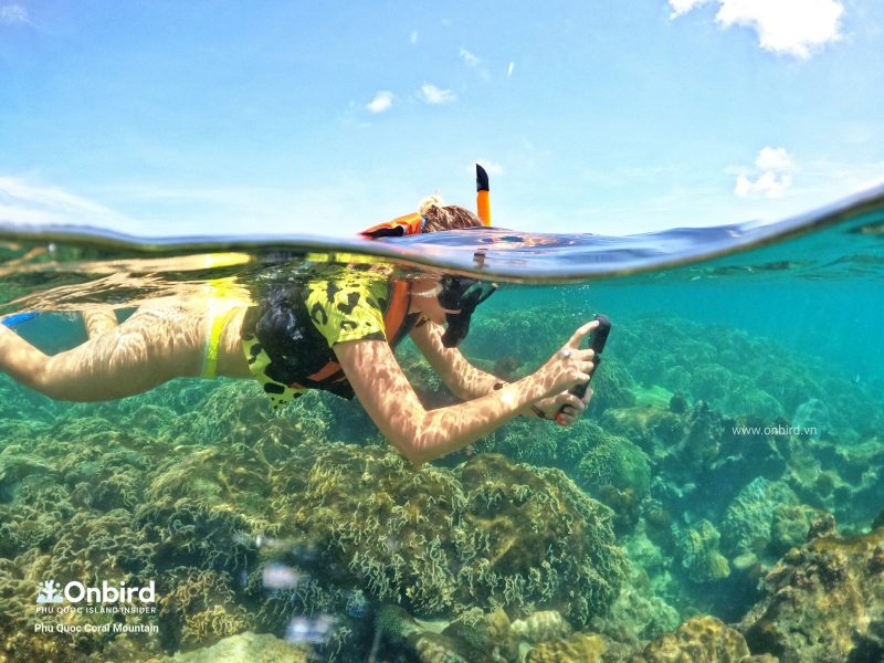 Snorkeling-at-Phu-Quoc-Coral-Mountain-with-OnBird-Phu-Quoc