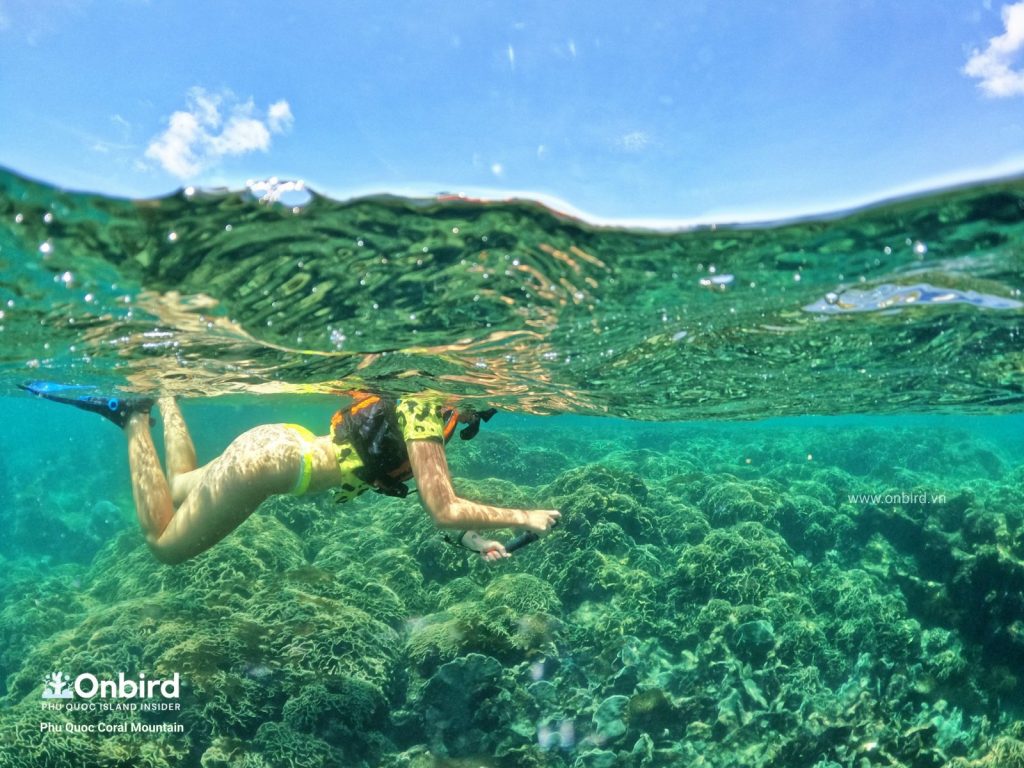 Phu Quoc Coral Mountain Crystal reef, snorkeling in Phu Quoc Island