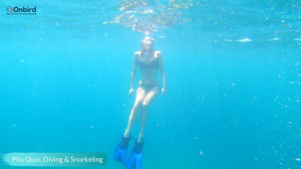 Phu Quoc Snorkeling & Diving site - Phu Quoc Things to do