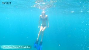Phu Quoc Snorkeling & Diving site - Phu Quoc Things to do